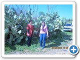 picture_246